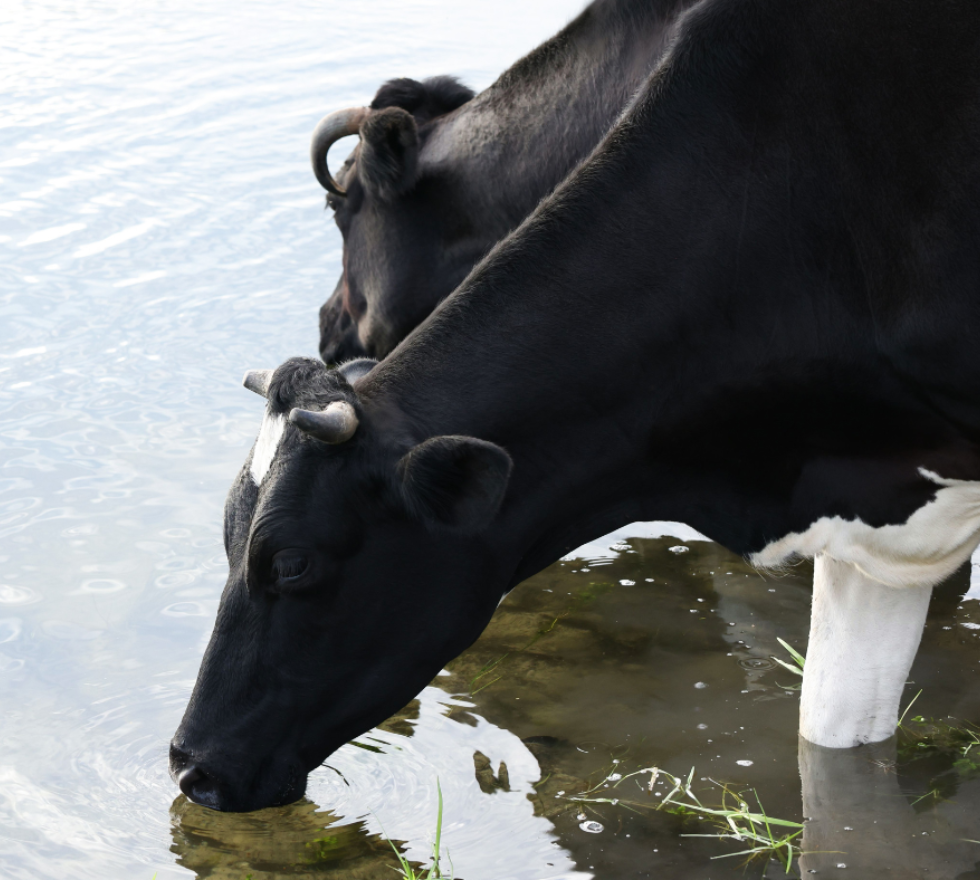 Ontwerp zonder titel 12